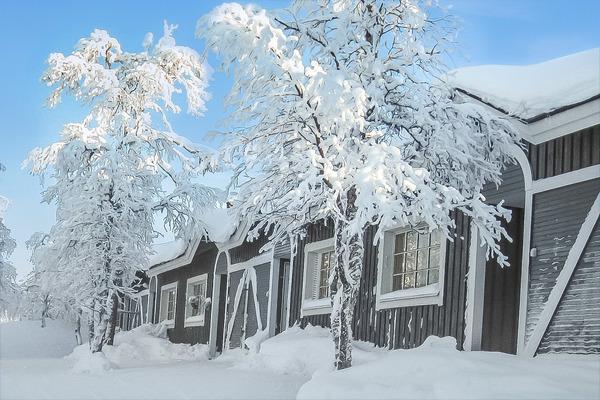 TUNTURIKUKSA, Saariselkä