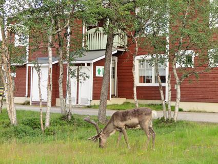 CASTILLO MOITAKURU C 31, Saariselkä