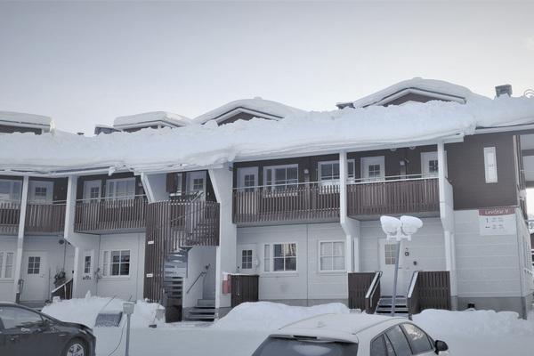 LEVI STAR 1009, Sirkka