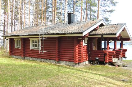 HONKAPIRTTI, koli