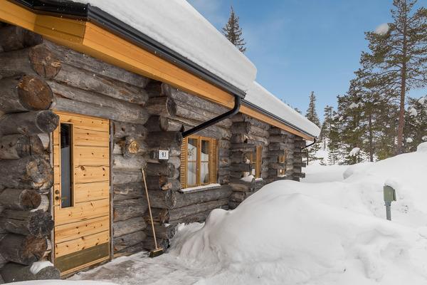 RUSKA-RUKA 9.1, Rukatunturi