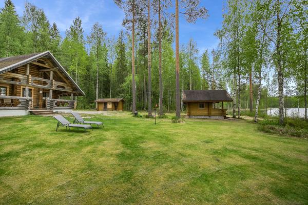 8. AURINKONIEMI, HANKASALMI, KESKI-SUOMI, HÄKÄRINTEET