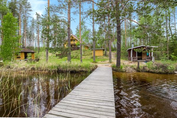 6. AURINKORANTA, HANKASALMI, KESKI-SUOMI, HÄKÄRINTEET