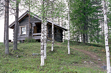 TARPOMOIVA, SAIJA