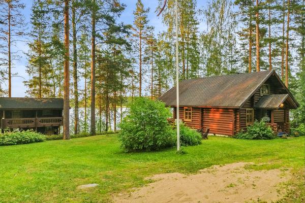 PALKINNIEMI, PUTIKKO