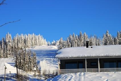 SkiVillas 78 UKKOHALLA (1) , Hyrynsalmi, Ukkohalla