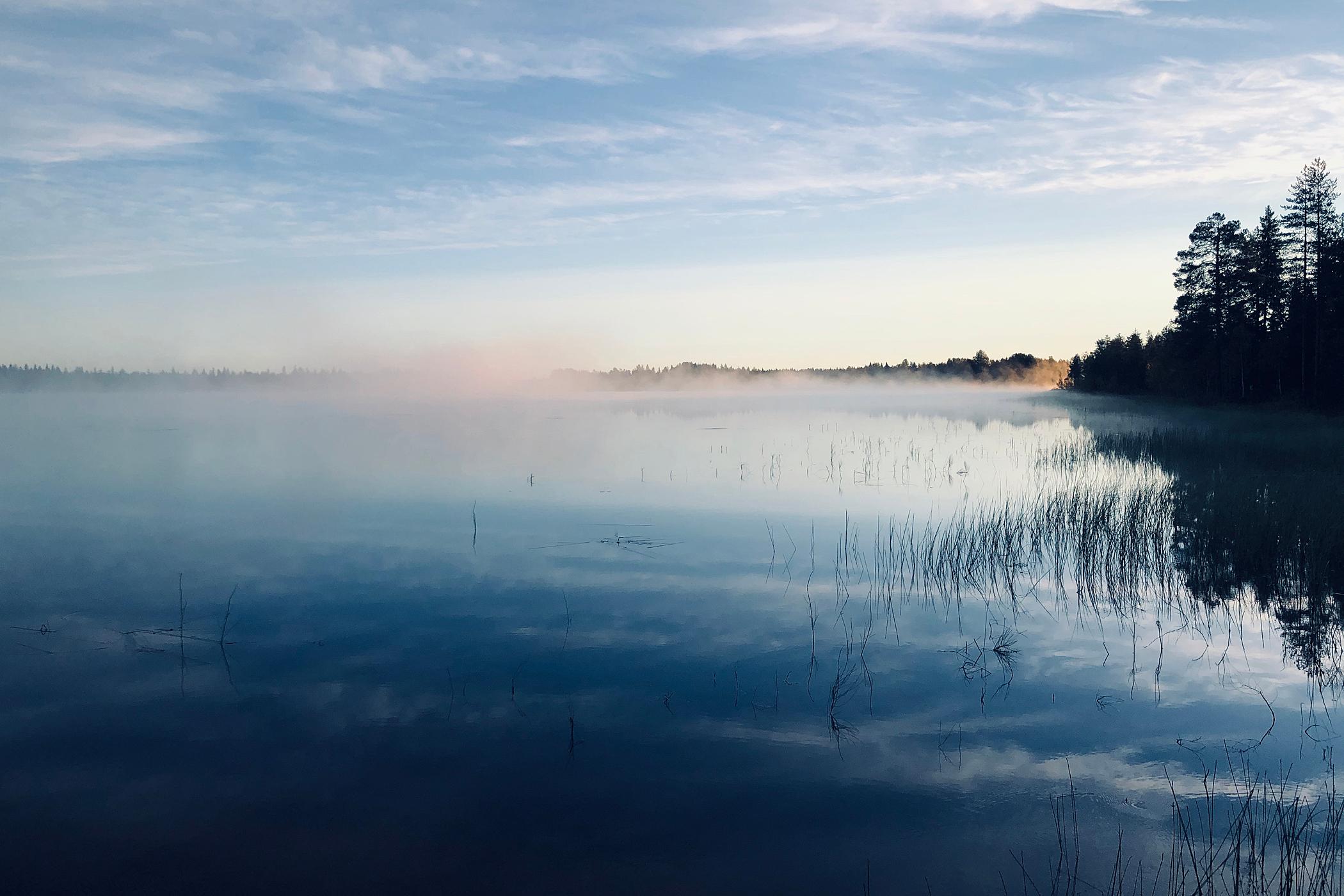 7. PAPU, SAARIHARJU, RANUA, LAPPI