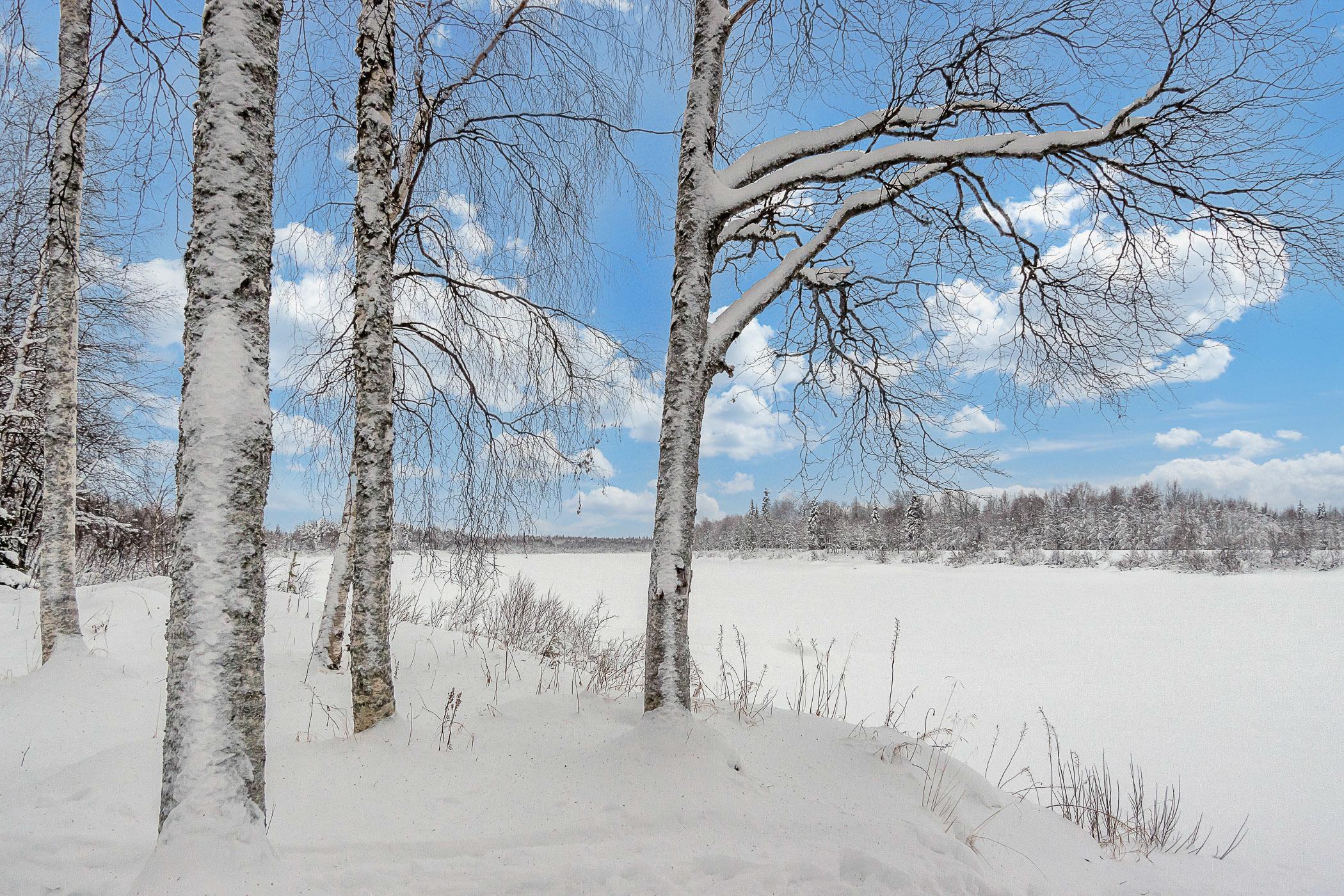 1. RIEKKORANTA, LUIROJOKI, SAVUKOSKI, LAPPI