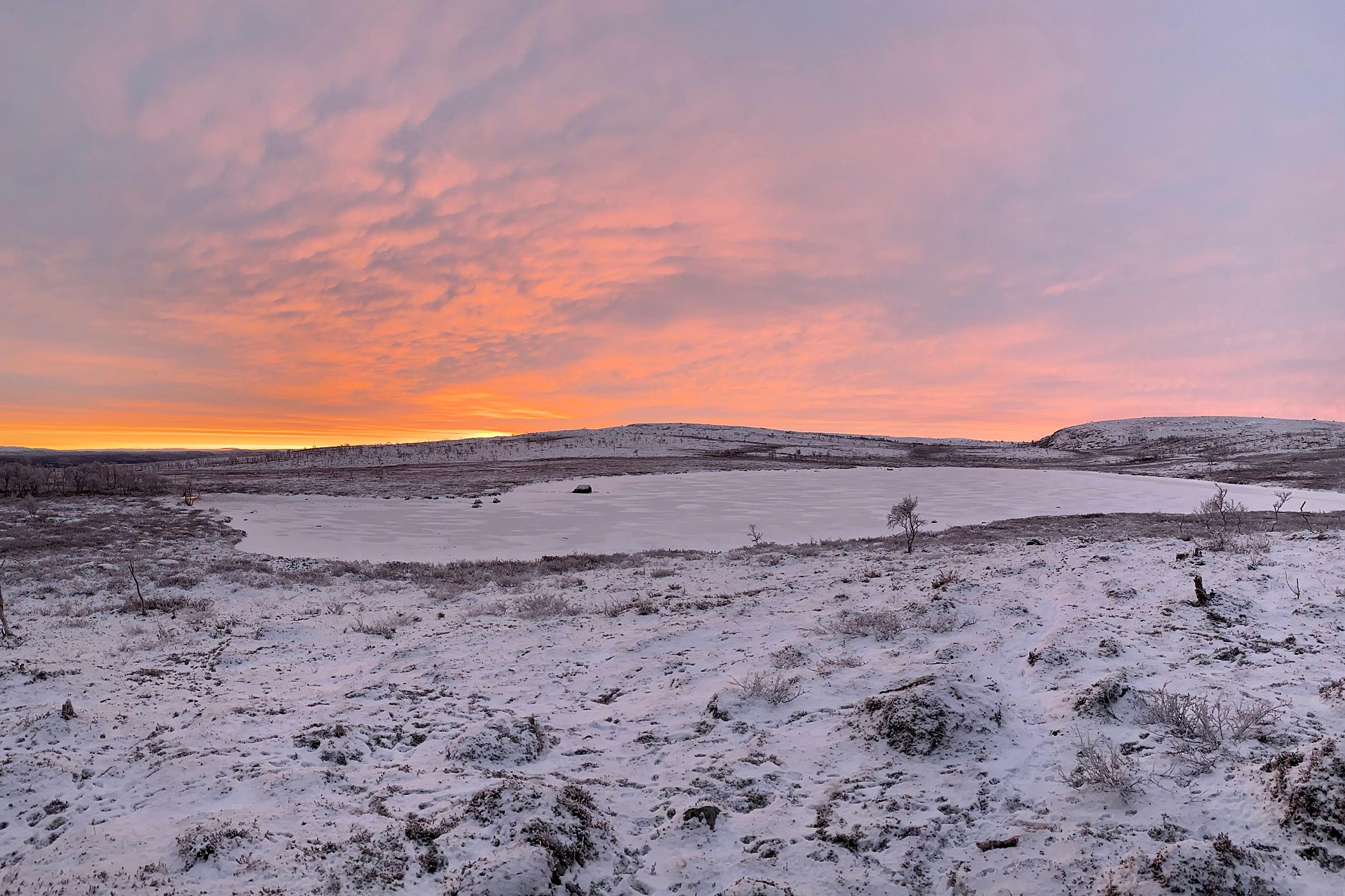 4. TUNTURILUMO, NUORGAM, UTSJOKI, LAPPI