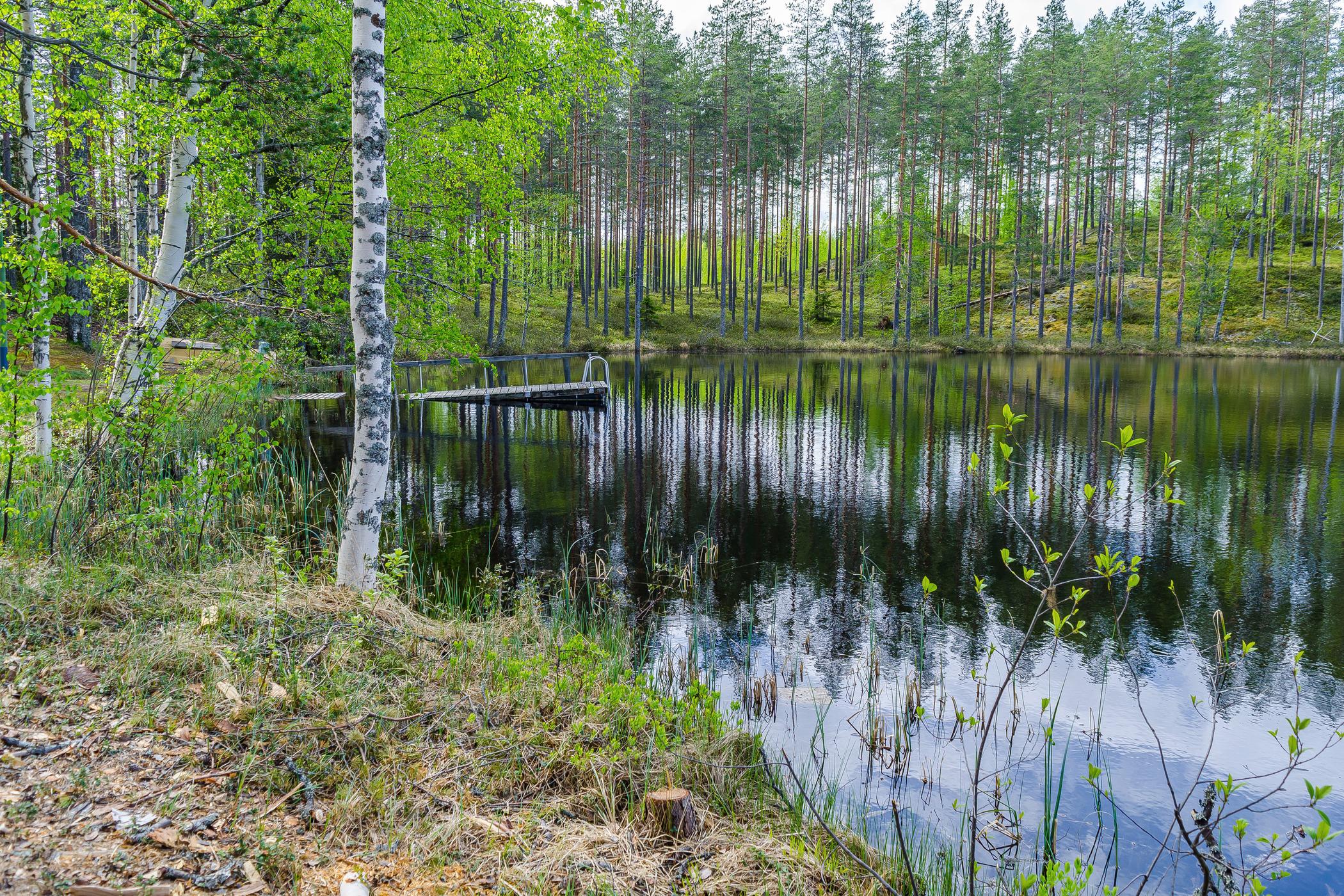 2. ERÄ-OKU METSÄSTYSMAJA, OUTOKUMPU, POHJOIS-KARJALA