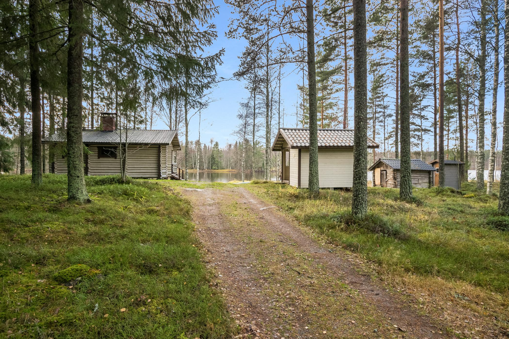 9. KOIVURANTA, KANGASNIEMI, ETELÄ-SAVO