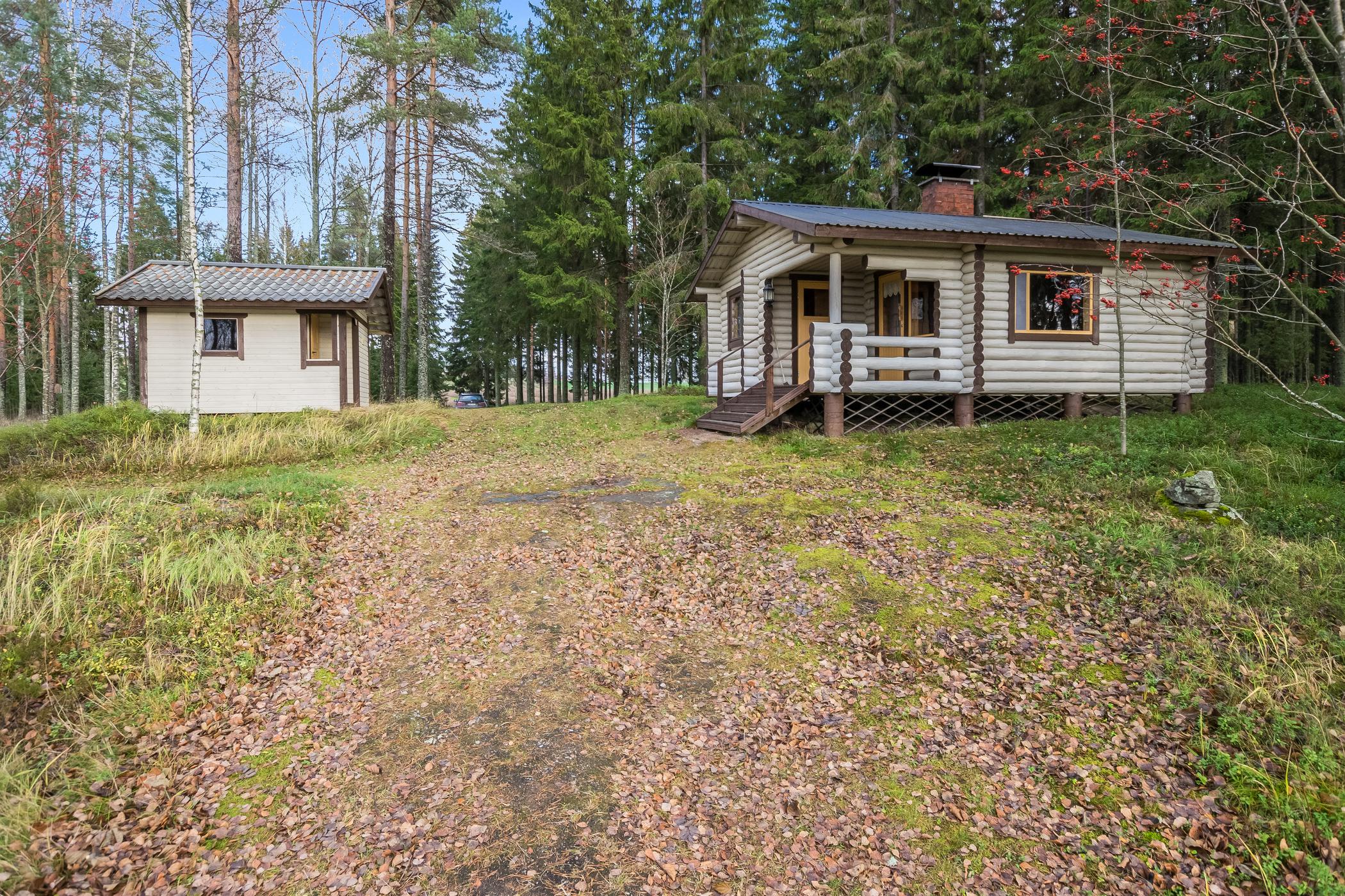 9. KOIVURANTA, KANGASNIEMI, ETELÄ-SAVO