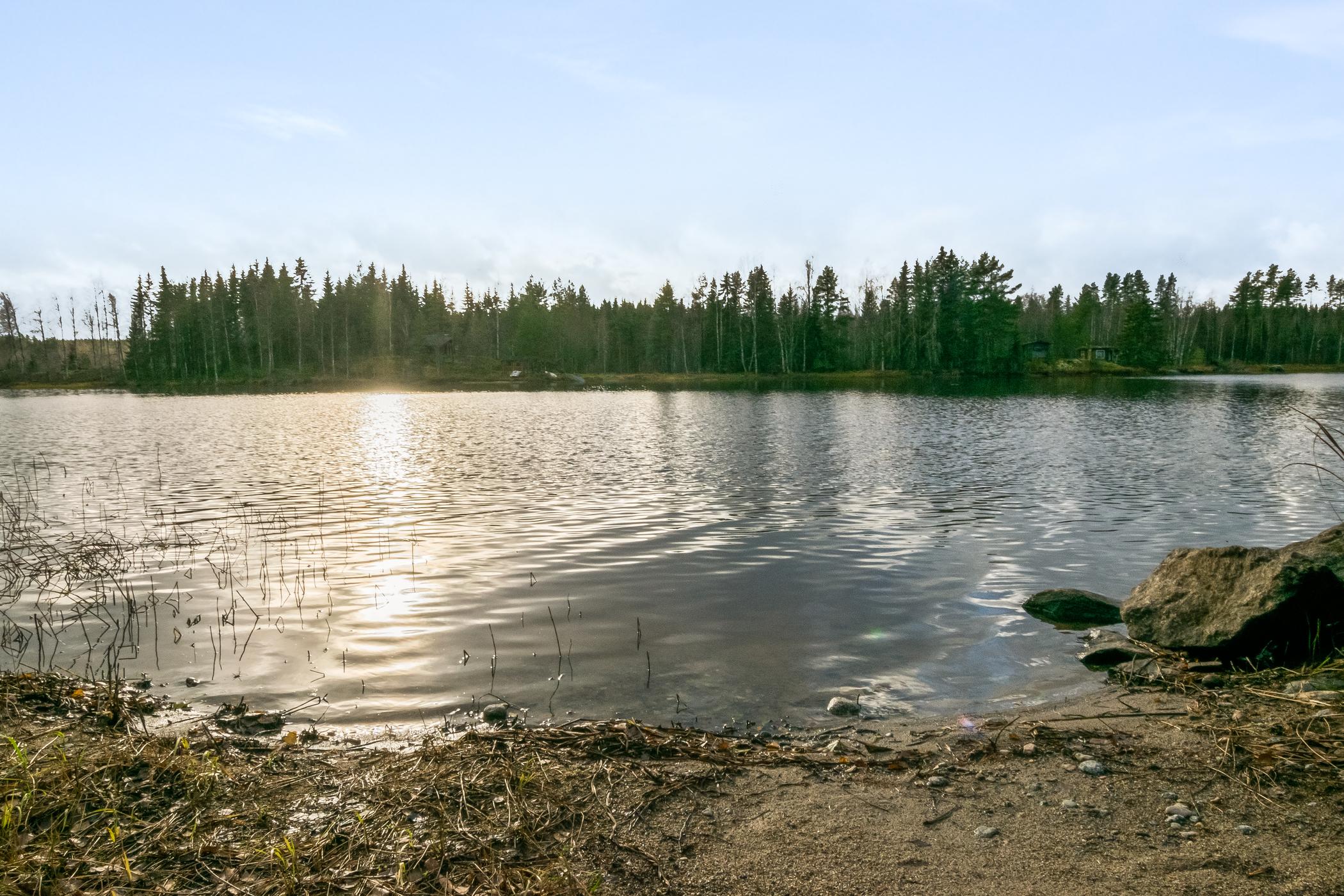 9. KOIVURANTA, KANGASNIEMI, ETELÄ-SAVO