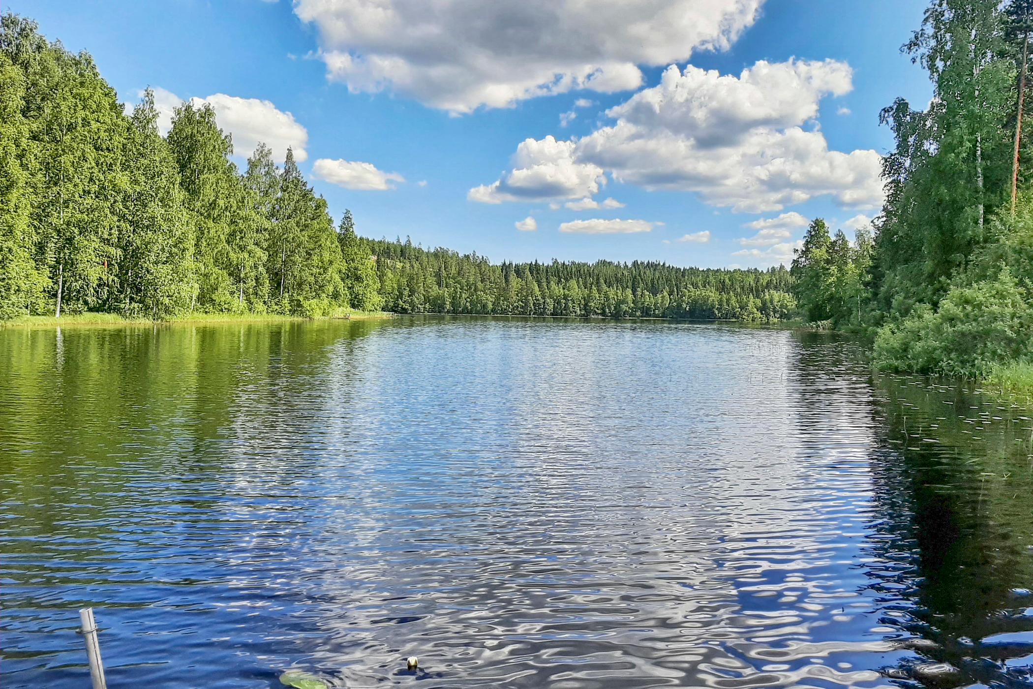 5. LEPISTÖNPOLKU, KEURUU, KESKI-SUOMI