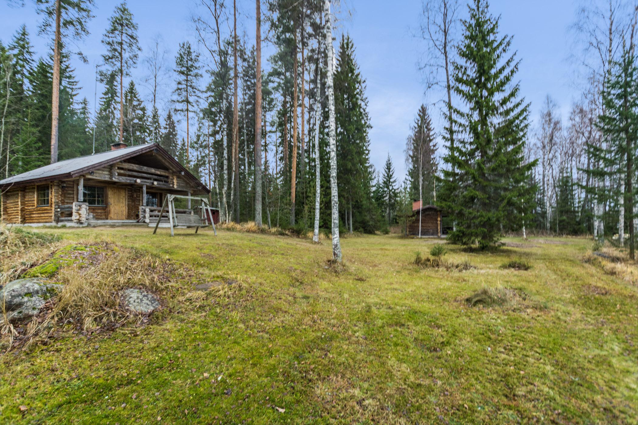 7. MIKKO, HANKASALMI, KESKI-SUOMI, HÄKÄRINTEET