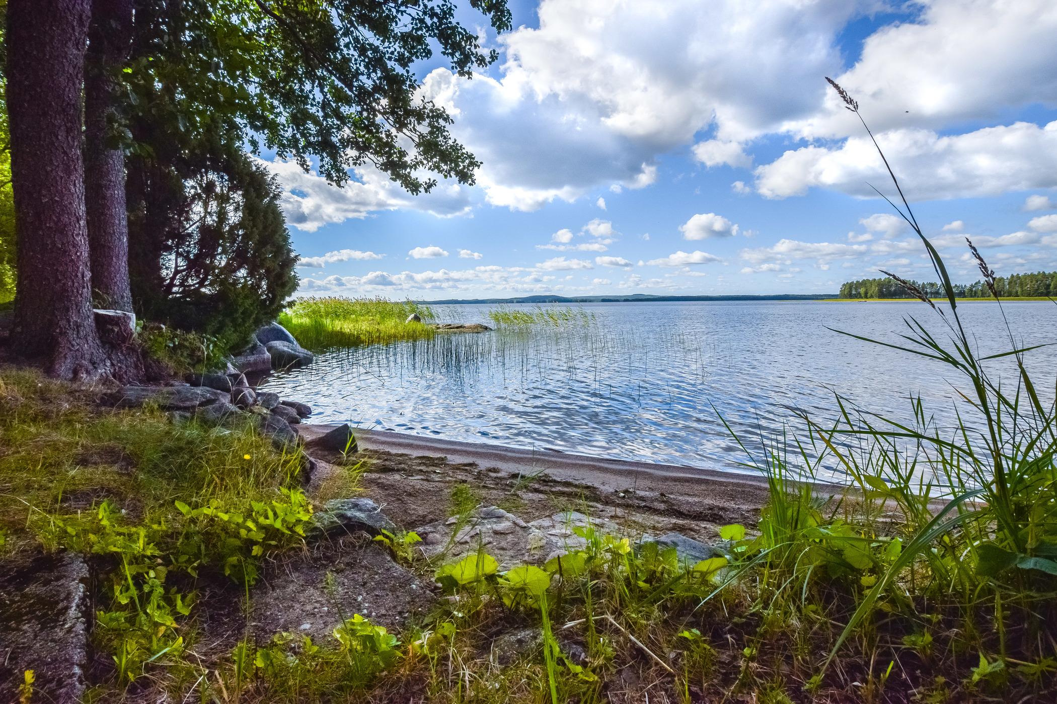4. LEHTORANTA, HANKASALMI, KESKI-SUOMI, HÄKÄRINTEET