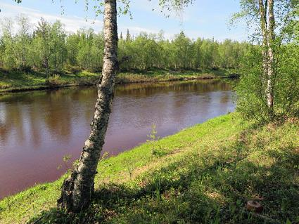 5. TAMMAKKOLEHTO, KEMIJOKI, LATTUNA, SAVUKOSKI, LAPPI