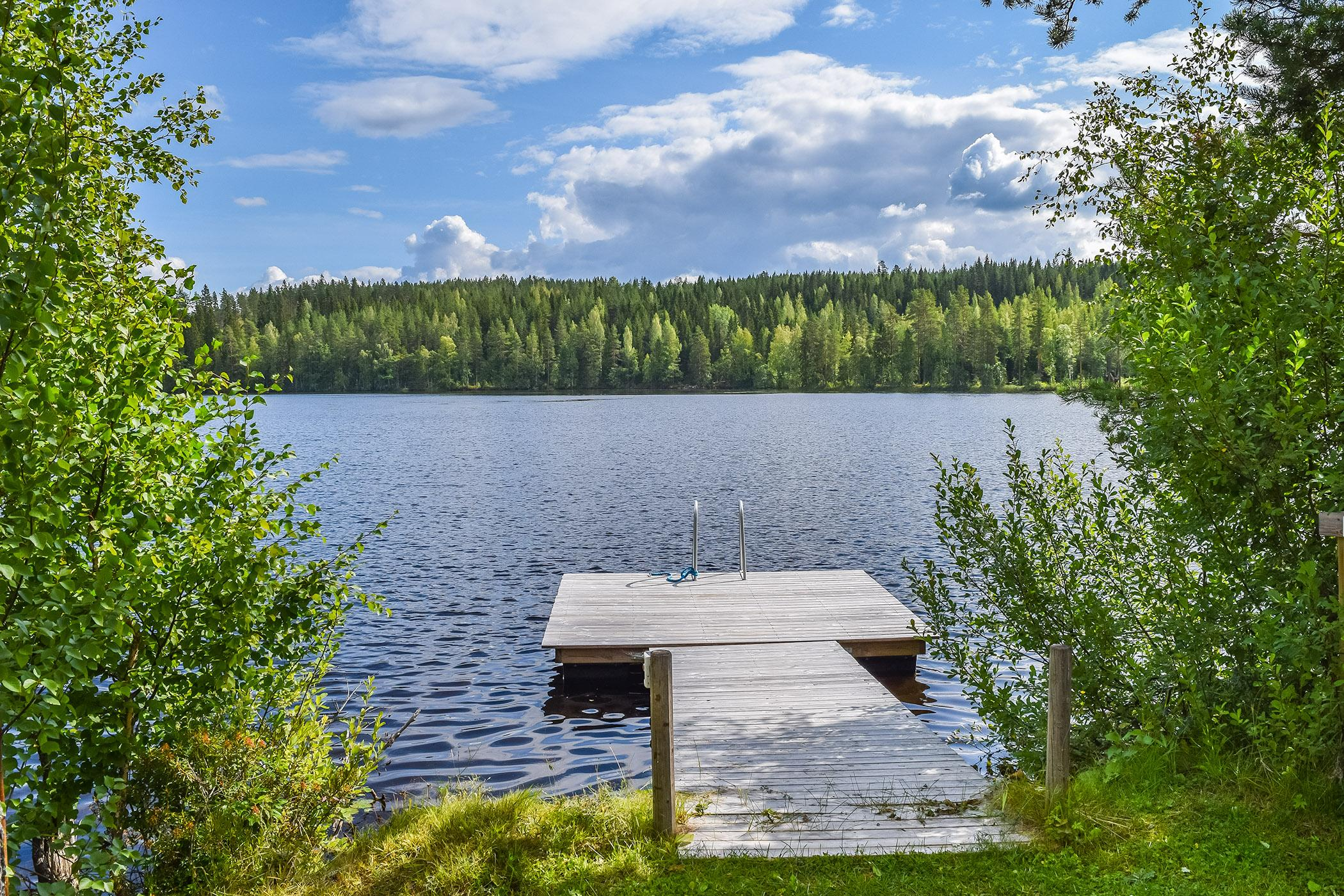 7. LEKOJÄRVEN HERRA, KONGINKANGAS, ÄÄNEKOSKI, KESKI-SUOMI