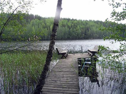 2. SOKEELAMPI, URJALA, PIRKANMAA
