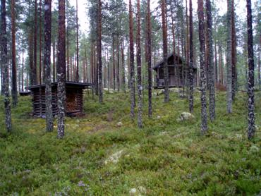 3. TEERIKANGAS, KÄRSÄMÄKI, POHJOIS-POHJANMAA